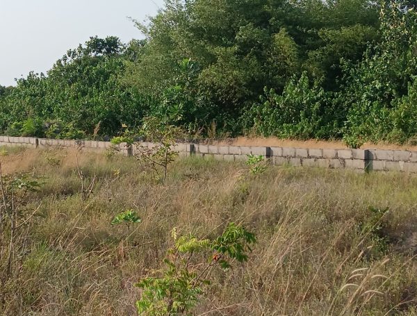 WhatsApp Image 2026-01-08 at 08.11.48_ff9fb37a